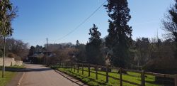 Village Scene 1